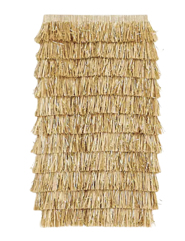 Gold Fringe Skirt
